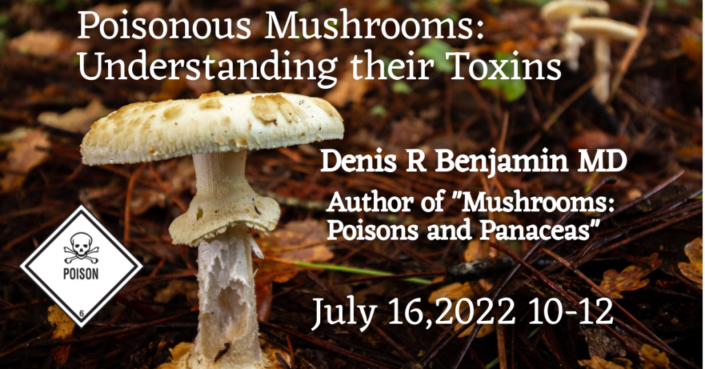 Poisonous Mushrooms Understanding Their Toxins North Texas Mycological Association 0627