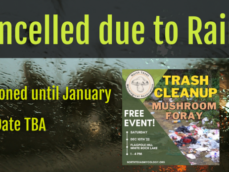 December Trash Cleanup cancelled due to rain. Postponed until January. New date To Be Announced